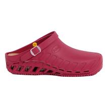 CLOG EVO TPR UNISEX WINE 39/40