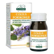 COLEUS FOR ESTR TIT 60PAST