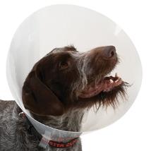 Collare Elisabetta Classic Trasparente 20 Cm (Buster Transparent Dog Collar 20 Cm) Minsan 926025242