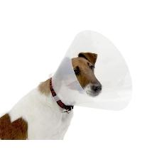 Collare Elisabetta Clic Trasparente 25 Cm (Buster Clic Collar 25 Cm) Minsan 919735783