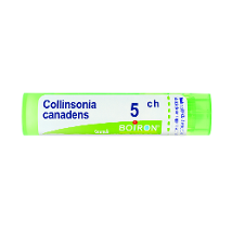 COLLINSONIA CANADENSIS 5CH GRANULI