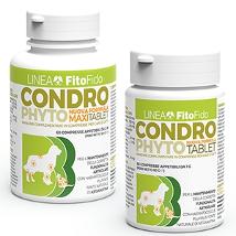 Condrophyto 60 Compresse  1Gr Minsan 972288005