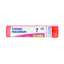 CONIUM MACULATUM 7CH GRANULI
