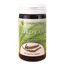 CORDY UP 60CPS