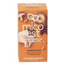 CORDYCEPS ES 60 TAV