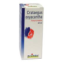 CRATAEGUS OXYACANTHA TINTURA MADRE 60ML