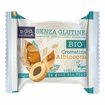 CROSTATINA ALL'ALBICOCCA S/G