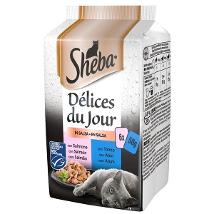 Délices Du Jour con Salmone e Tonno in Salsa