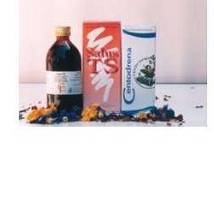 DISBIOS BEV ALCO 100ML
