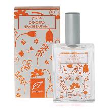DR TAFFI PROF YUTA ZENZERO35ML