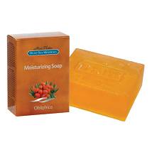 DSM MON PLATIN SAP OLIVELLO SP