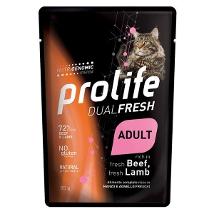 Dual Fresh Adult Beef & Lamb