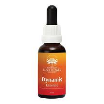 DYNAMIS 30ML