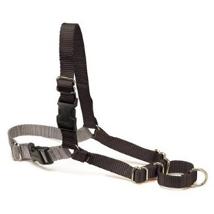 Easy Walk Pettorina L-Xl Tx12986 72-110Cm Professional