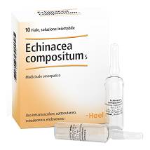 ECHINACEA COMP S 10F 2,2MLHEEL