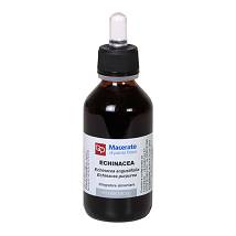 ECHINACEA TM 100ML