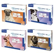 Effipro Duo Cane di Taglia Grande da 20 a 40 Kg