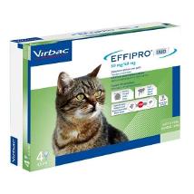 Effipro'Duo Gatto 4Pip Minsan 104836022