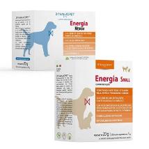 Energia 20 Bs 4 G  - Dynamopet Minsan 972269524