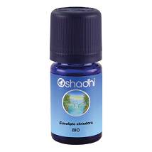 EUCALIPTO CITRIODORA OE 10ML