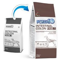 F10 Active Dog Intestinal Colon Fase 1 10Kg 0912010 Minsan 924787955