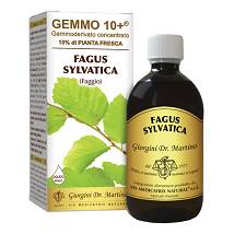 FAGGIO 500ML ANALCO GEMMO 10+