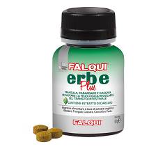 FALQUI ERBE PLUS 120CPR