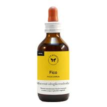 FICO BIOGEM 100ML