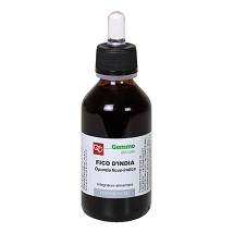 FICO INDIA MG 100ML