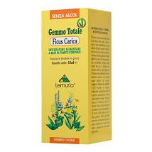 FICUS CARICA GEMME GTT 50ML MG