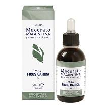 FICUS CARICA MACERATO MAGE50ML