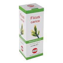 FICUS CARICA MG 100ML