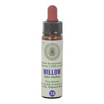 FIORI DI BACH 38 WILLOW GTT