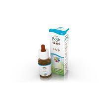 Fiori di Bach HOLLY GUN Gocce 10 ML