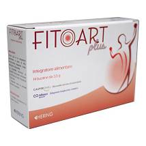 FITOART PLUS 14BUST