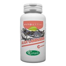 FITOATTIVI ALGA LAMINARIA90CPS