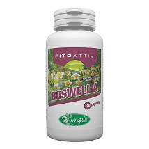 FITOATTIVI BOSWELIA 90CPS