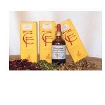 FRASSINO GEMME 100ML MG