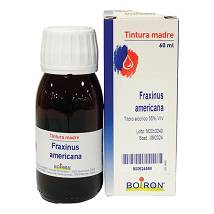 FRAXINUS AMERICANA TINTURA MADRE 60 ML