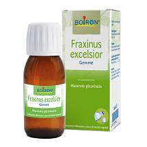 FRAXINUS EXCELSIOR MACERATO GLICERICO 60 ML
