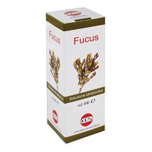 FUCUS SOL IAL 100ML