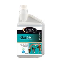 Gastrix 946Ml Minsan 925517928