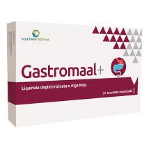 GASTROMAAL + 20TAV