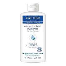 GEL NETTOYANT PURIF GELDET BIO