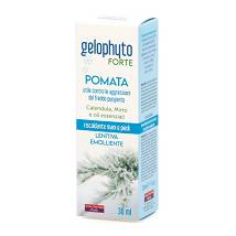 GELOPHYTO FORTE POMATA 30ML