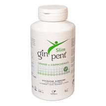 GINPENT SLIM 120CPS