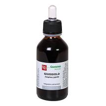 GIUGGIOLO MG 100ML