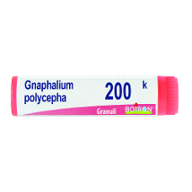 GNAPHALIUM P BOI*200K