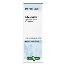 GRAMIGNA RIZOMA SOL IAL 100ML