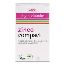 GSE ZINCO COMPACT 30G